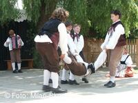 Jihočeský folklorní festival